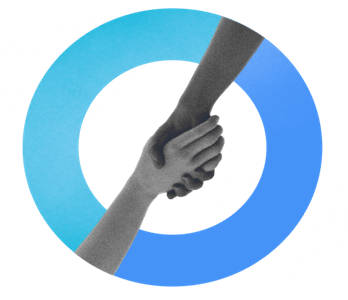 Pabis Involves Pagina Web